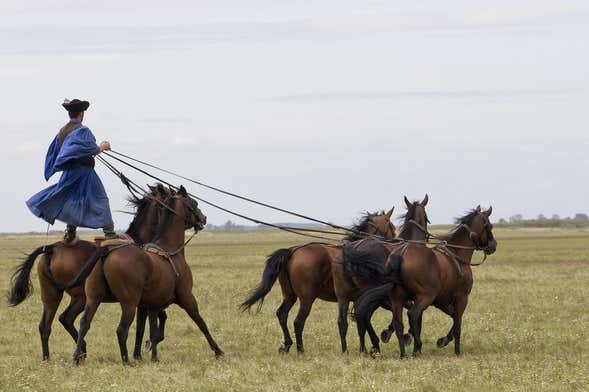 Puszta Day Trip with Equestrian Show