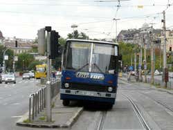 Local buses in Budapest