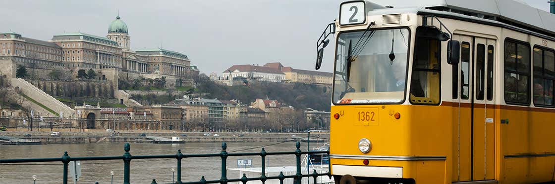 Trams in Budapest